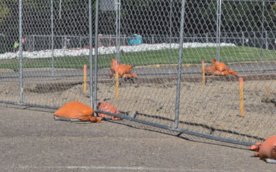 Sandbags for Temporary Fencing